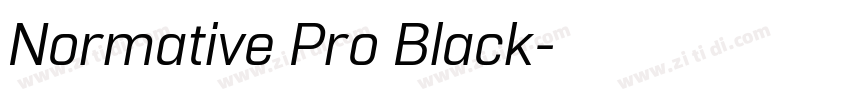 Normative Pro Black字体转换